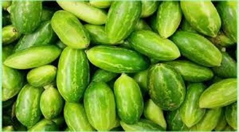 Eat Kundru for Weight Loss and Blood Sugar Control: Discover Ivy Gourd’s Amazing Benefits ...