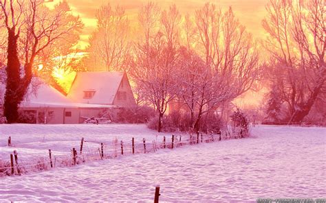 Winter Pink Wallpapers - Wallpaper Cave