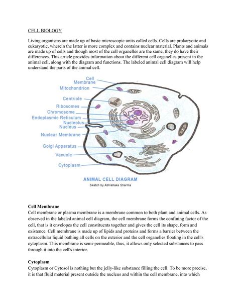 CELL BIOLOGY article