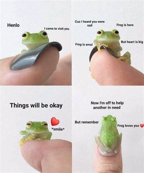 Nice frog - Meme by Evangilene :) Memedroid