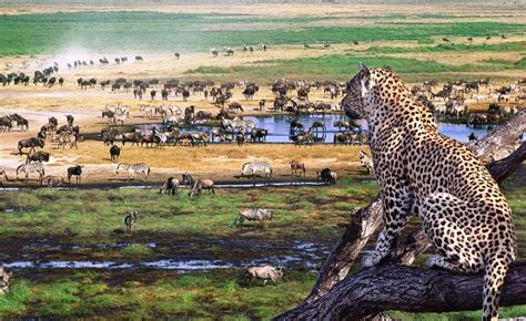 3 Days Ngorongoro Serengeti safari | Serengeti safaris