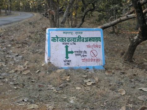 Koka Wildlife Sanctuary (Bhandara) - 2020 What to Know Before You Go (with Photos) - Tripadvisor