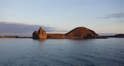 Cruise to Galápagos Brings you Close to the Nature | Silversea