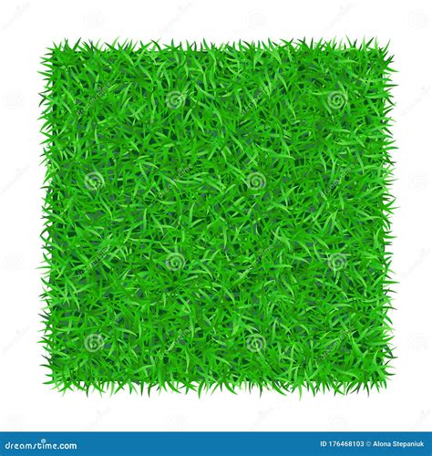 Grass Square 3D. Beautiful Green Grassy Field, On White Transparent Background. Lawn Abstract ...