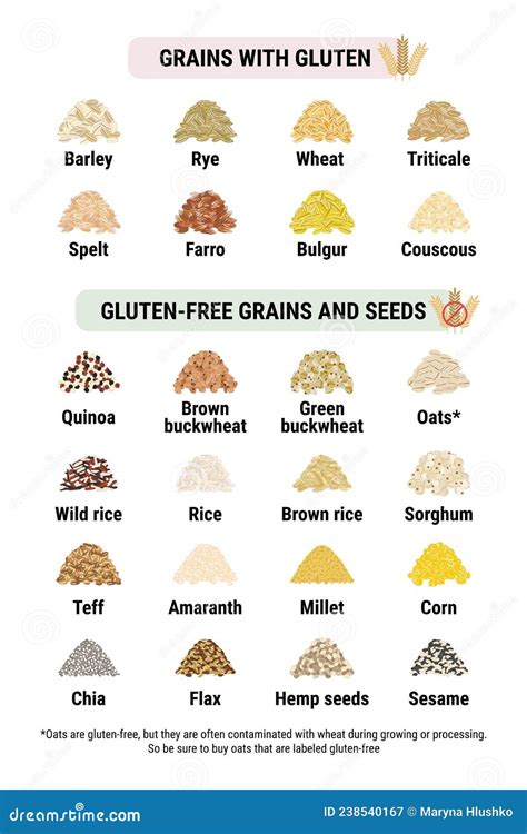 Gluten-free and Containing Gluten Grains Infographic. Healthy and Unhealthy Grains and Seeds by ...