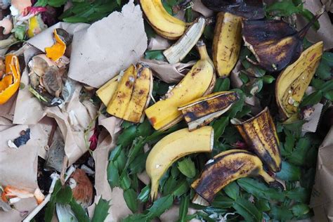 4 Easy Ways to Compost Banana Peels | Gardener’s Path