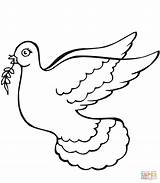Peace Dove With Olive Branch Coloring Page Printable  Vrogueco sketch template