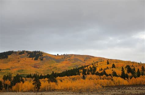 16+ Stunning Places to See Fall Colors in Colorado in 2024