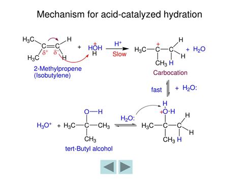 PPT - Chapter 5 Alkenes PowerPoint Presentation, free download - ID:7013489