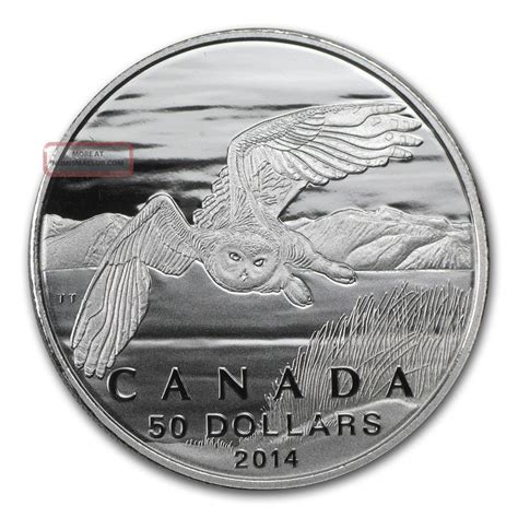 2014 $50 Canada Wildlife Conservation Snowy Owl 1/2 Oz. 9999 Silver Coin