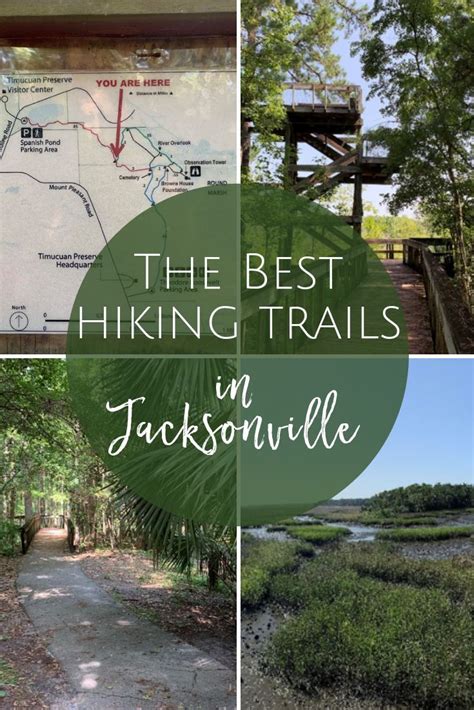 The Best Hiking Trails in Jacksonville - Jacksonville Beach Moms ...