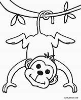 Free Printable Monkey Coloring Pages For Kids sketch template