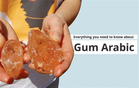 Gum Arabic: Everything You Need to Know - Paleo Foundation