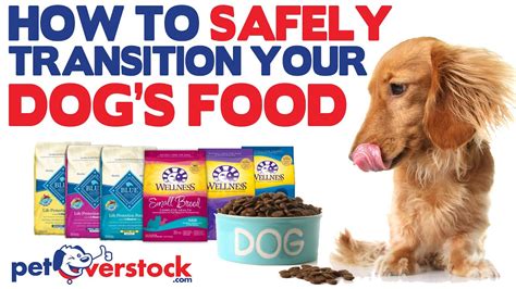 How To Safely Transition Your Dog's Food | PetOverstock.com - YouTube