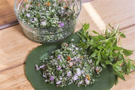 Fresh and healthy Mukunuwenna Salad - Kitchen - DailyLife.lk - Sri Lanka