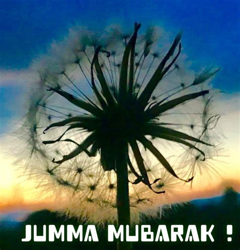 JUMMA MUBARAK WISHES - Beautiful Messages