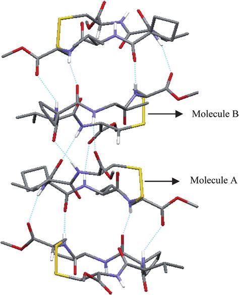 Self-assembled structure of the cyclic peptide 1$CHCl 3 via molecular... | Download Scientific ...