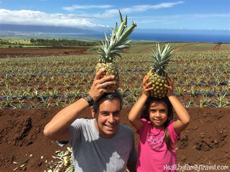 Maui Gold Pineapple Farm | Healthy Family Travel