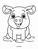 Pig Coloring Pages Images sketch template