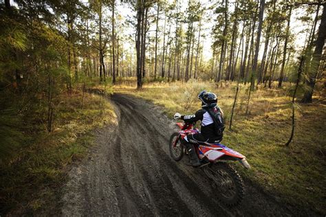 The Francis Marion National Forest — home to hiking, hunting, biking ...