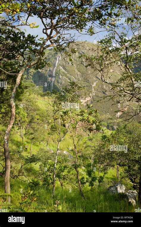 Mount Mulanje, a giant massif in southern district, Malawi, is the ...