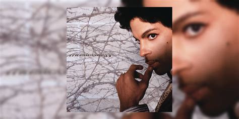 Revisiting Prince’s ‘Musicology’ (2004) | Tribute