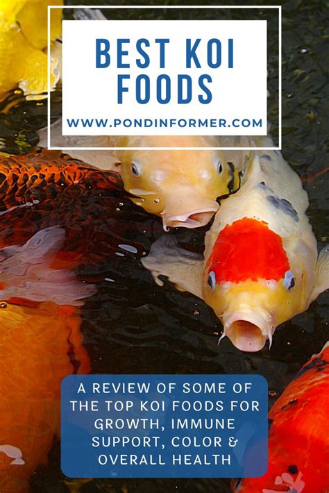 Best Koi Foods: 2020 Review | Food, Koi fish food, Koi