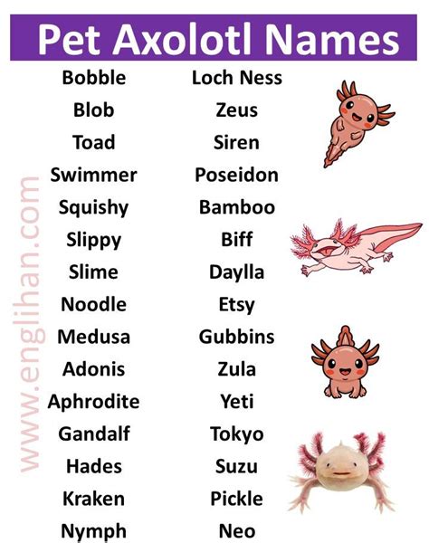 List of pet axolotl names in english – Artofit