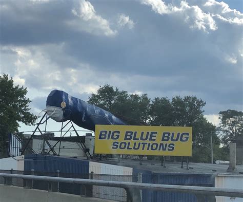 BIG BLUE BUG SOLUTIONS - 22 Photos & 107 Reviews - Pest Control - 161 O'Connell St, Providence ...