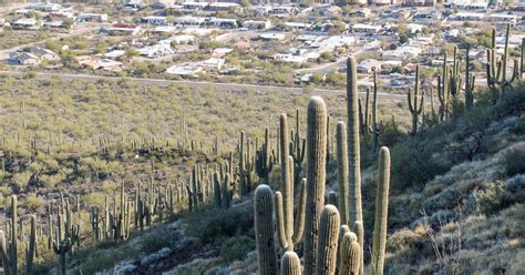 Hike Tumamoc Hill, Tucson, Arizona