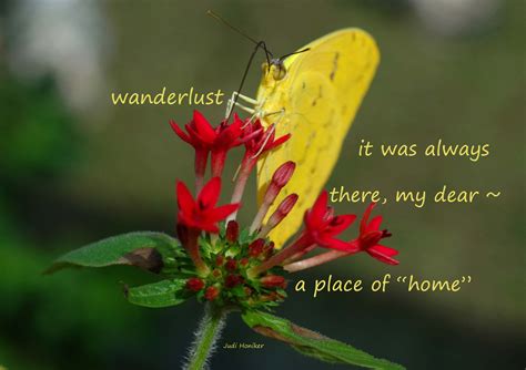 a yellow butterfly sitting on top of a red flower next to a quote from ...