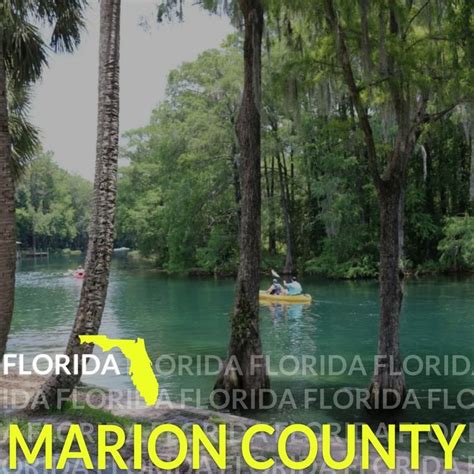 Marion county florida – Artofit