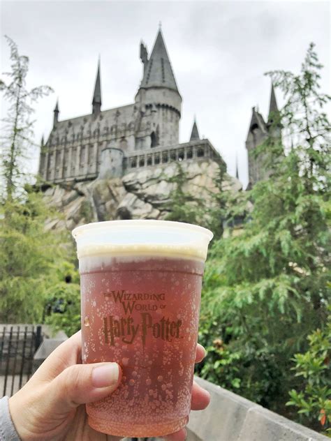 Cheers! Butterbeer at Universal Studios/Wizarding World of Harry Potter | Butterbeer, Wizarding ...