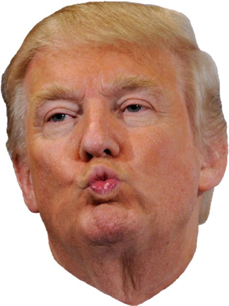 Donald Trump PNG Transparent Images, Pictures, Photos