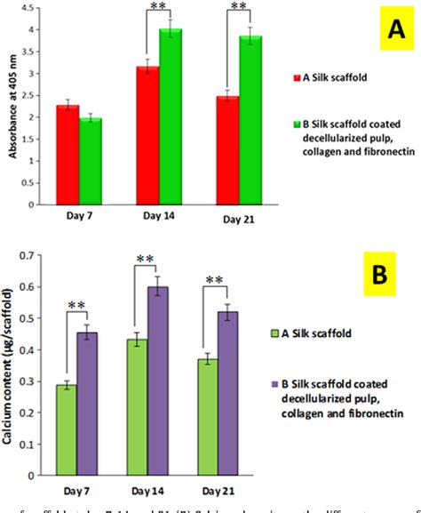 Figure 3 from A biofunctional-modified silk fibroin scaffold with mimic ...