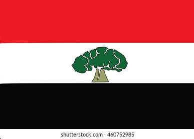 Oromia Flag Stock Vector (Royalty Free) 460752985 | Shutterstock