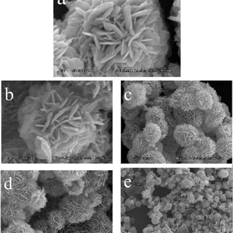 Effect of different calcination temperature on the morphology of the... | Download Scientific ...