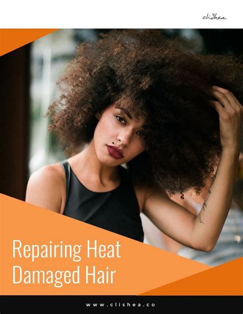 Repairing Heat Damaged Hair in 2019 | Heat damage, Damaged hair ...