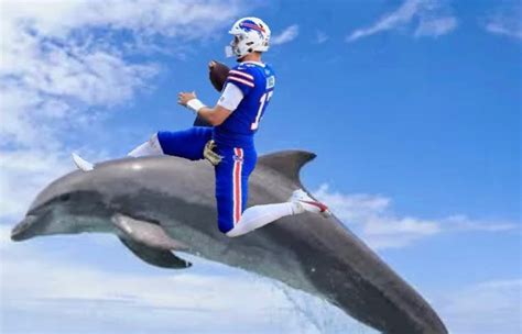 13 Best Bills Vs. Dolphins Memes & Tweets - Step Out Buffalo