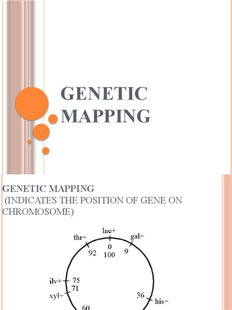 Genetic Mapping | PDF | Genetic Linkage | Genetics