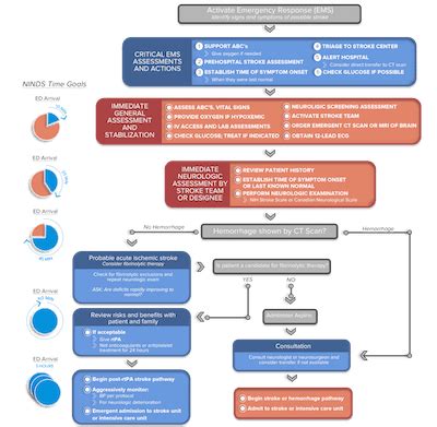 Online American Heart Association AHA ACLS Algorithms | ACLS Recertification Certification Online