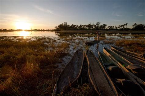 Sunset in the Okavango Delta Stock Photo - Image of background, clouds ...