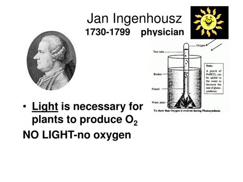 PPT - CHAPTER 8 Photosynthesis PowerPoint Presentation, free download - ID:5014441