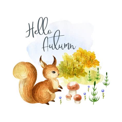 Cute Squirrel. Hand Painted Watercolor Illustration Stock Illustration ...