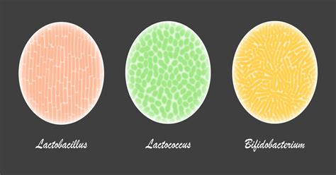 Strains matter in probiotic ingredient selection