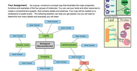 Create a Concept Map of Biomolecules.pdf - Google Drive