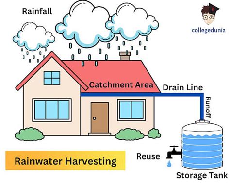 Rain Water Harvesting: Methods, Advantages & Disadvantages