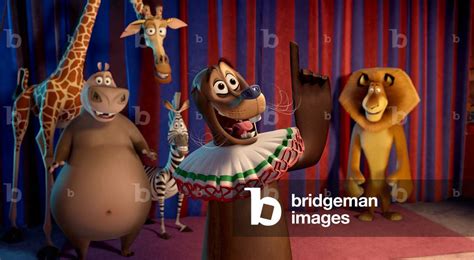 Madagascar 3 Stefano