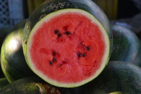 Can Cockatiels Eat Watermelon? Key Nutrients Explained