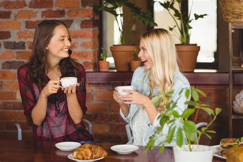 Female Friends Having Coffee At Coffee Shop Stock Image - Image: 56793367